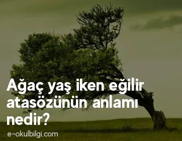 Ağaç yaş iken eğilir atasözünün anlamı nedir?