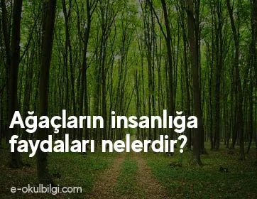 Ağaçların insanlığa faydaları nelerdir?
