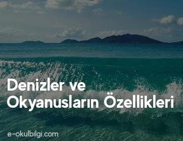 Denizler ve Okyanusların Özellikleri