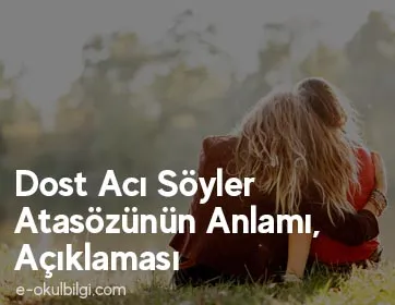 Dost Acı Söyler Atasözünün Anlamı, Açıklaması