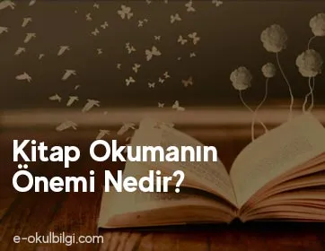 Kitap Okumanın Önemi Nedir, Kitap Okumak Niçin Önemlidir?