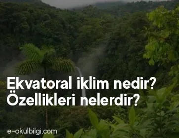 Ekvatoral iklim nedir, özellikleri nelerdir?