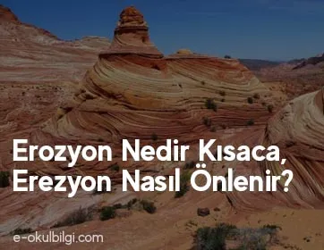 Erozyon Nedir Kısaca, Erezyon Nasıl Önlenir?