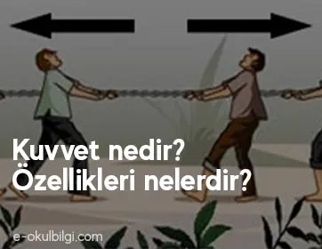 Kuvvet nedir? Özellikleri nelerdir?