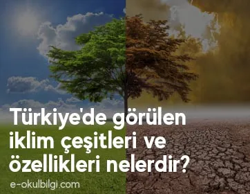 Türkiye'de görülen iklim çeşitleri ve özellikleri nelerdir?