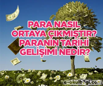 Para nasıl ortaya çıkmıştır? Paranın tarihi gelişimi nedir?
