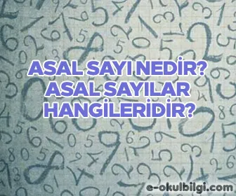 Asal sayı nedir? Asal sayılar hangileridir?