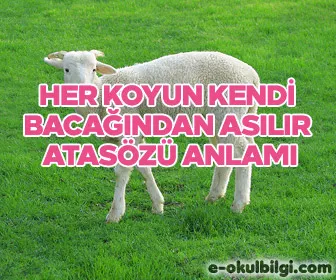 Her koyun kendi bacağından asılır atasözü anlamı