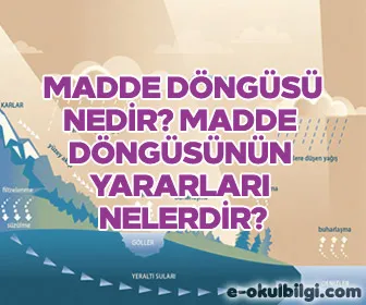 Madde döngüsü nedir? Madde döngüsünün yararları nelerdir?