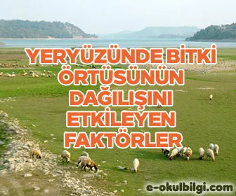 Yeryüzünde bitki örtüsünün dağılışını etkileyen faktörler