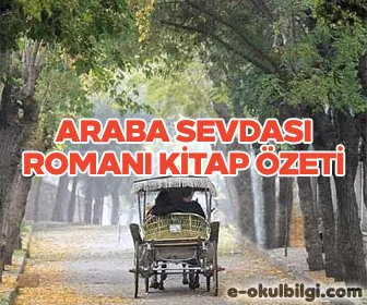 Araba Sevdası romanı kitap özeti