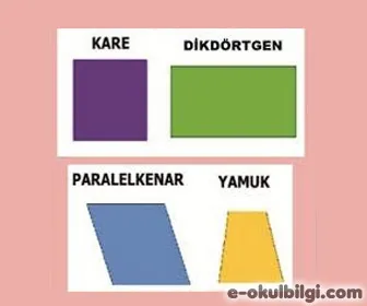 Dörtgenler nelerdir? Dörtgenlerin çeşitleri ve özellikleri