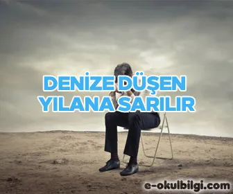 Denize düşen yılana sarılır ile ilgili kompozisyon