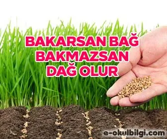 Bakarsan bağ, bakmazsan dağ olur atasözü kompozisyon