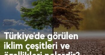 Türkiye'de görülen iklim çeşitleri ve özellikleri nelerdir?