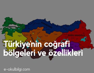 Türkiye'nin coğrafi bölgeleri ve özellikleri