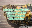 Uranyum nedir? Uranyumun özellikleri nelerdir?