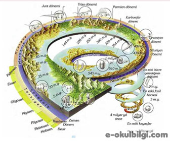 Jeolojik devir özellikleri ve Türkiye'de jeolojik devir